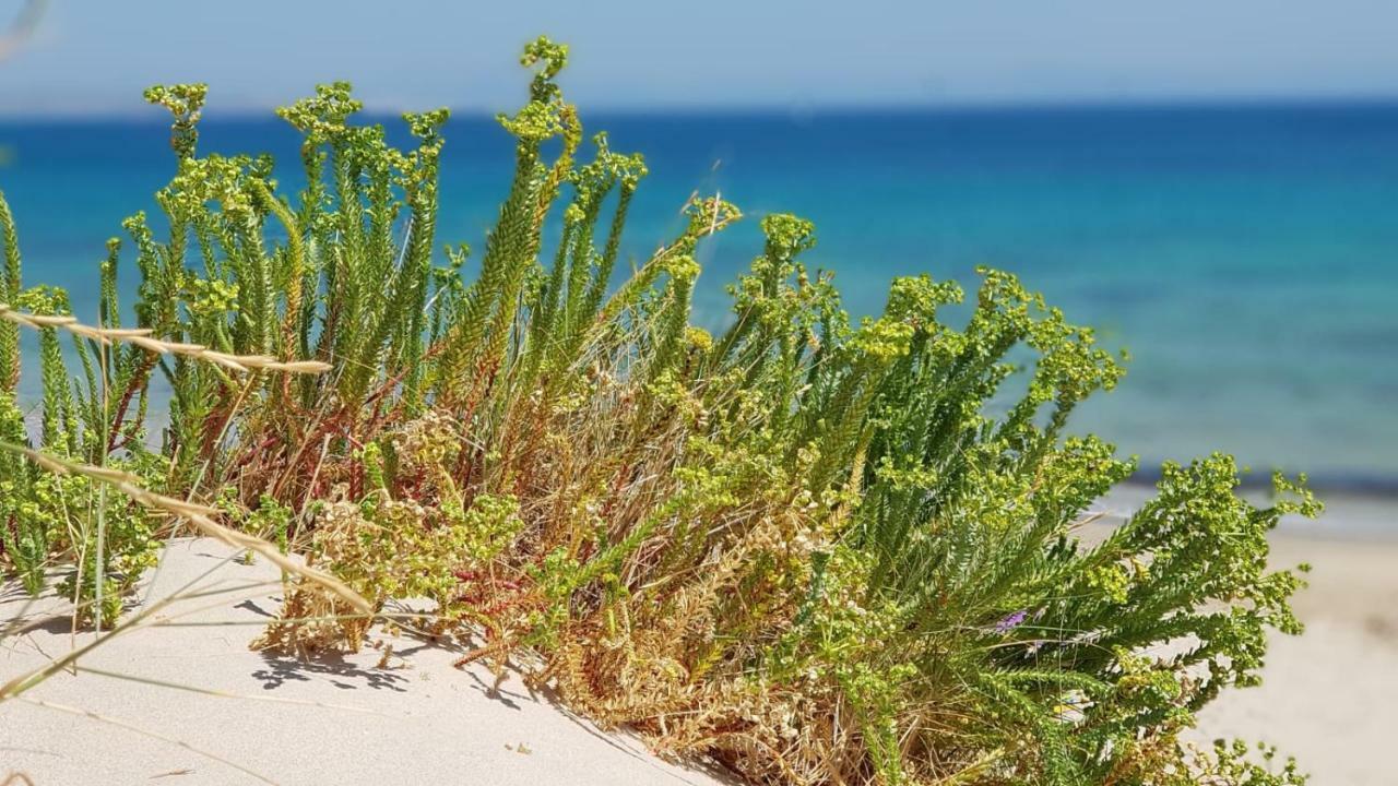 Luz De La Bahia Daire San Fernando Dış mekan fotoğraf